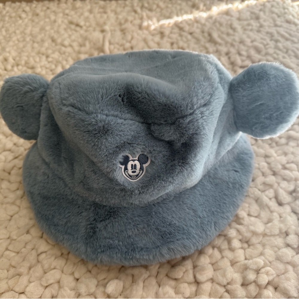 Tokyo Disney blue Fuzzy Hat with Character Logo